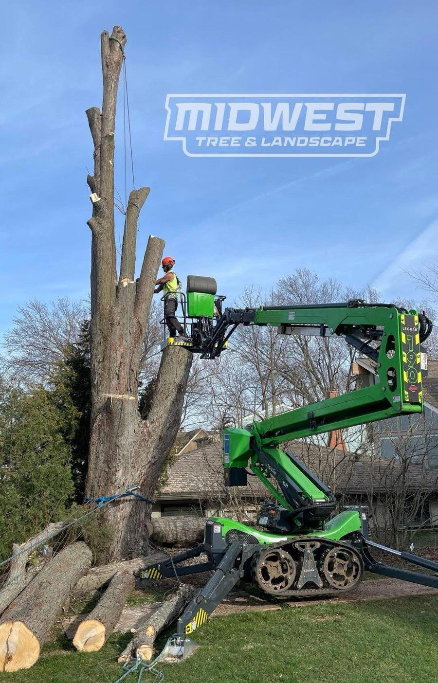 midwest tree & landscape removing tree
