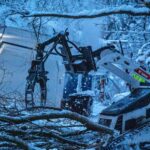 winter-tree-removal