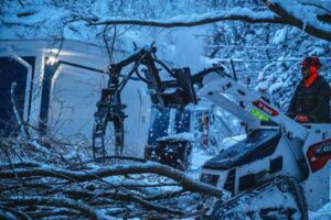 winter-tree-removal