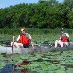 invasive species
