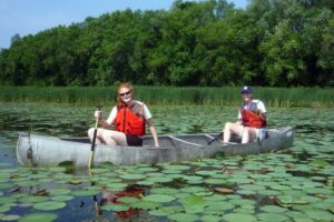 invasive species