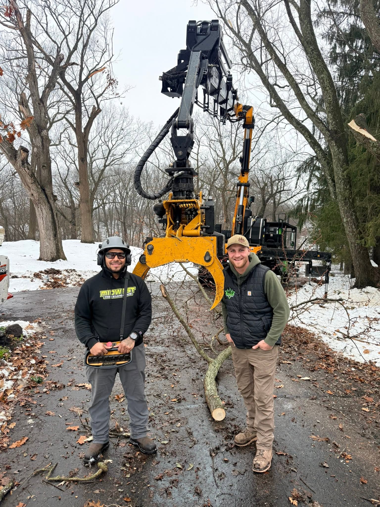 winter tree work
