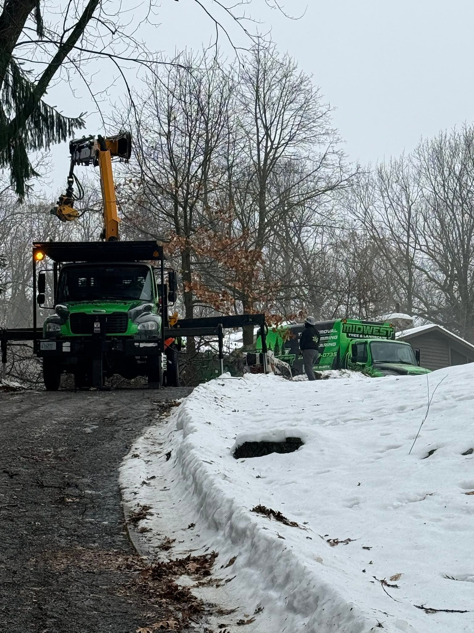 winter tree work
