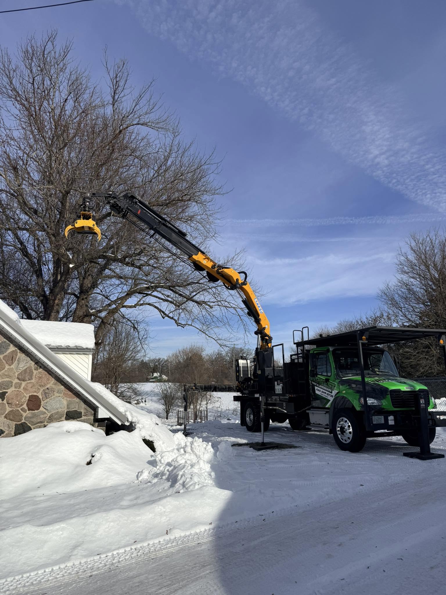winter tree work
