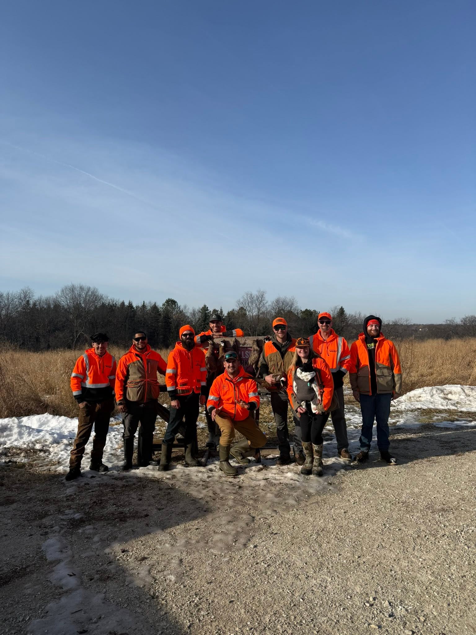 winter tree work